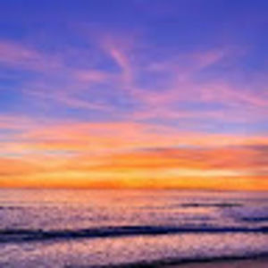 Meet your Posher, Orlando